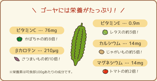 ゴーヤには栄養がたっぷり