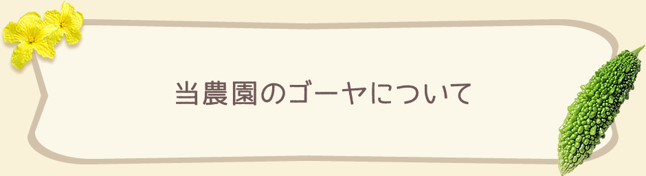 当農園のゴーヤについて