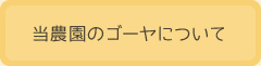 当農園のゴーヤについて